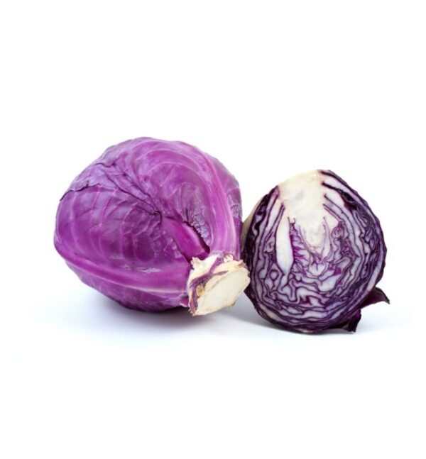 Organic Lentil Sprouts-Imagem 2