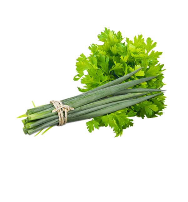 CHEIRO IMAGE